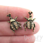 Hercules Rhino Beetle Shaped Rhinestone Stud Earrings in Brass | DOTOLY | DOTOLY