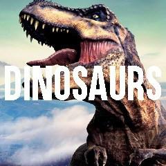 Dinosaur Themed Animal Jewelry and Products by DOTOLY