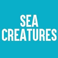 Sea Creatures Themed Jewelry and Products