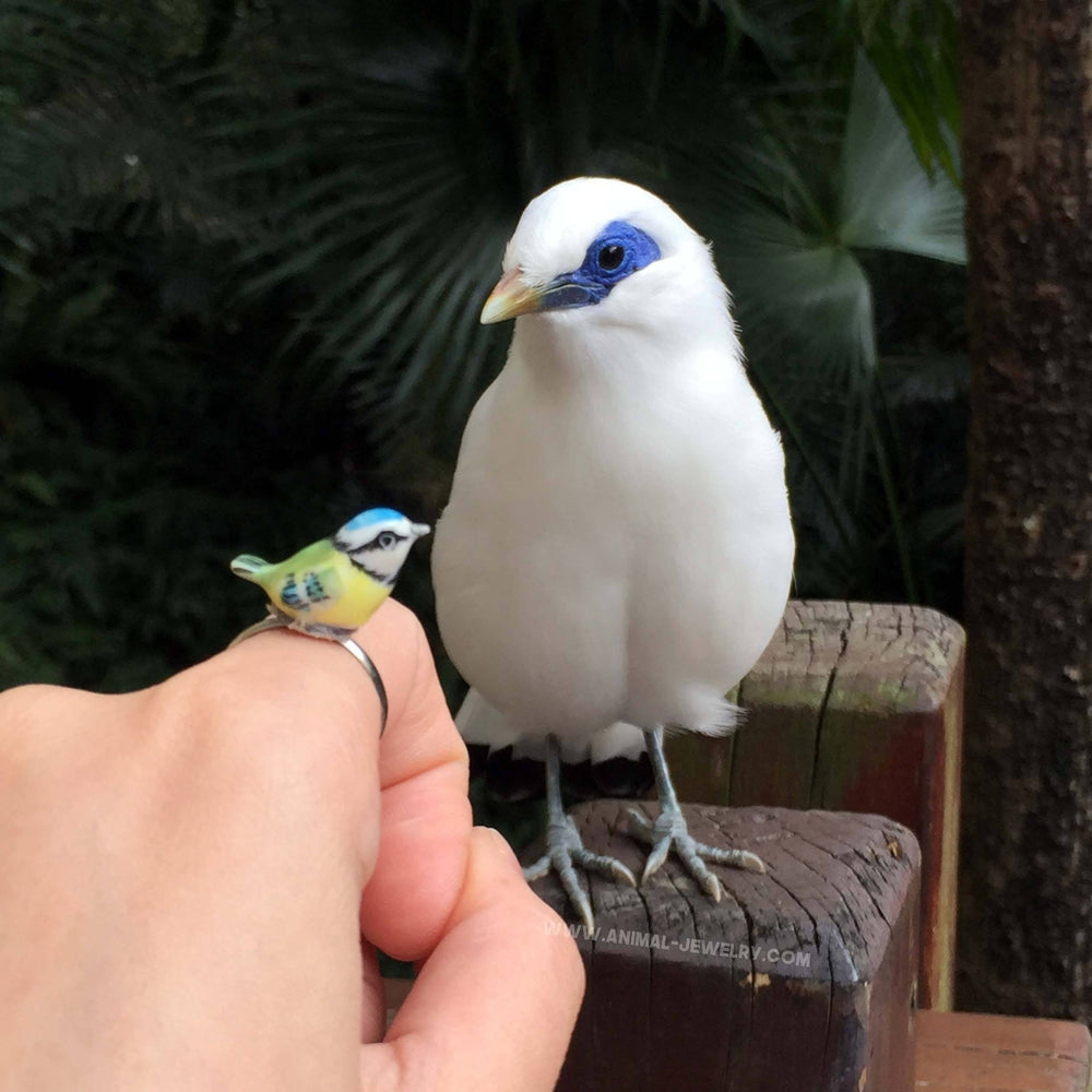 Colorful Porcelain Ceramic Blue Tit Bird Animal Adjustable Ring | Handmade | DOTOLY