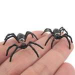 3D Spider Tarantula Bug Shaped Front and Back Stud Earrings in Black
