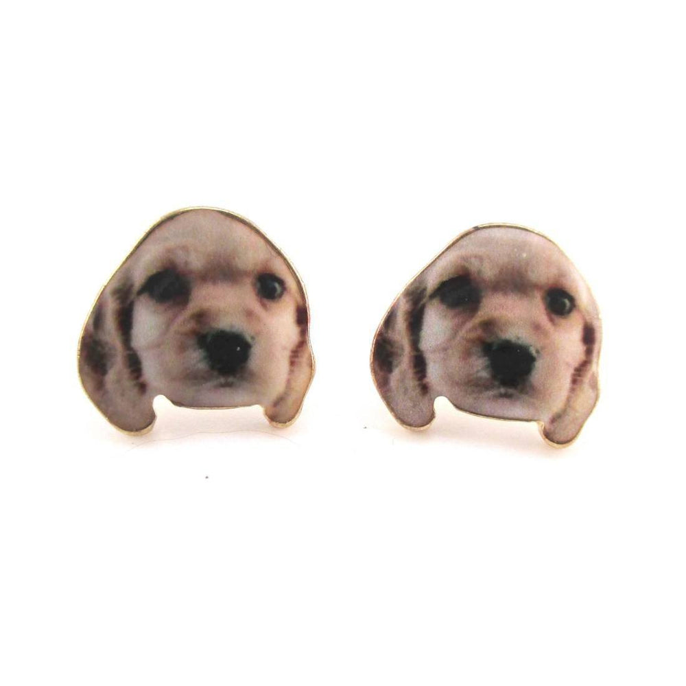 Baby Golden Retriever Puppy Photo Print Shaped Stud Earrings | DOTOLY