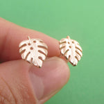 Monstera Leaf Swiss Cheese Plant Nature Lovers Sterling Silver Stud Earrings