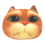 Puss In Boots Kitty Cat Face Shaped Coin Purse Make Up Bag | DOTOLY
