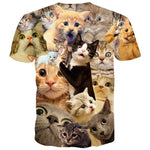 Surprised Kitty Cat Collage Photo Print Graphic Tee T-Shirt for Women | DOTOLY